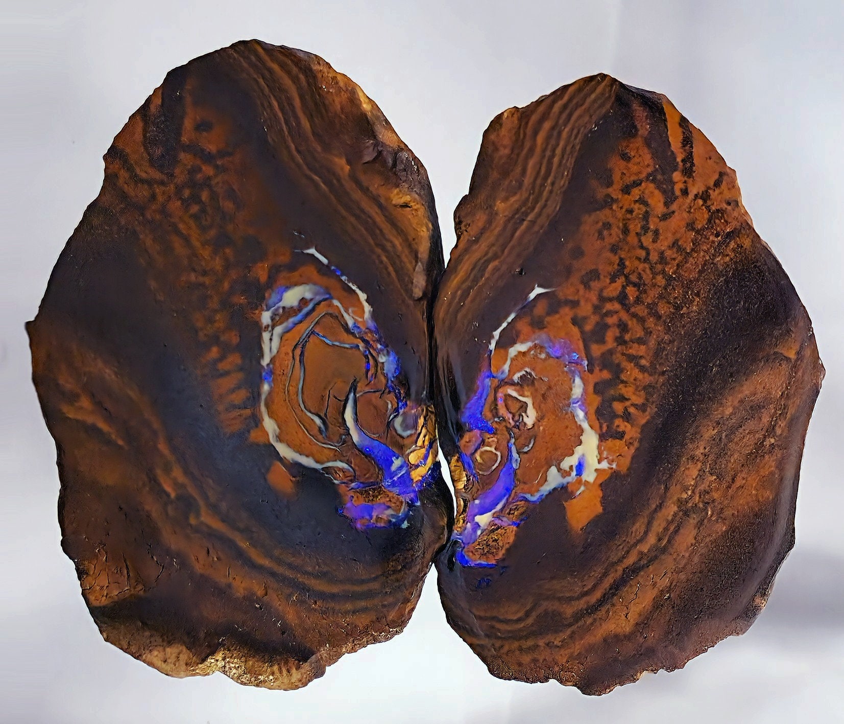 54105. Matching Australian Boulder Opal Slabs: Polished Gemstone