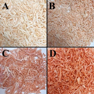 54005.0 - Drilled Coral Branches harvested from the Taiwan sea in choice of colours Pink or Very Deep Pink or Very Light Pink or White Coral