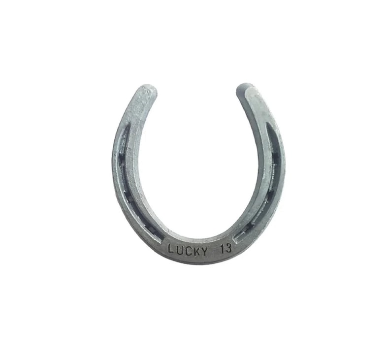 May include: A silver horseshoe with the words "LUCKY 13" engraved on the bottom.