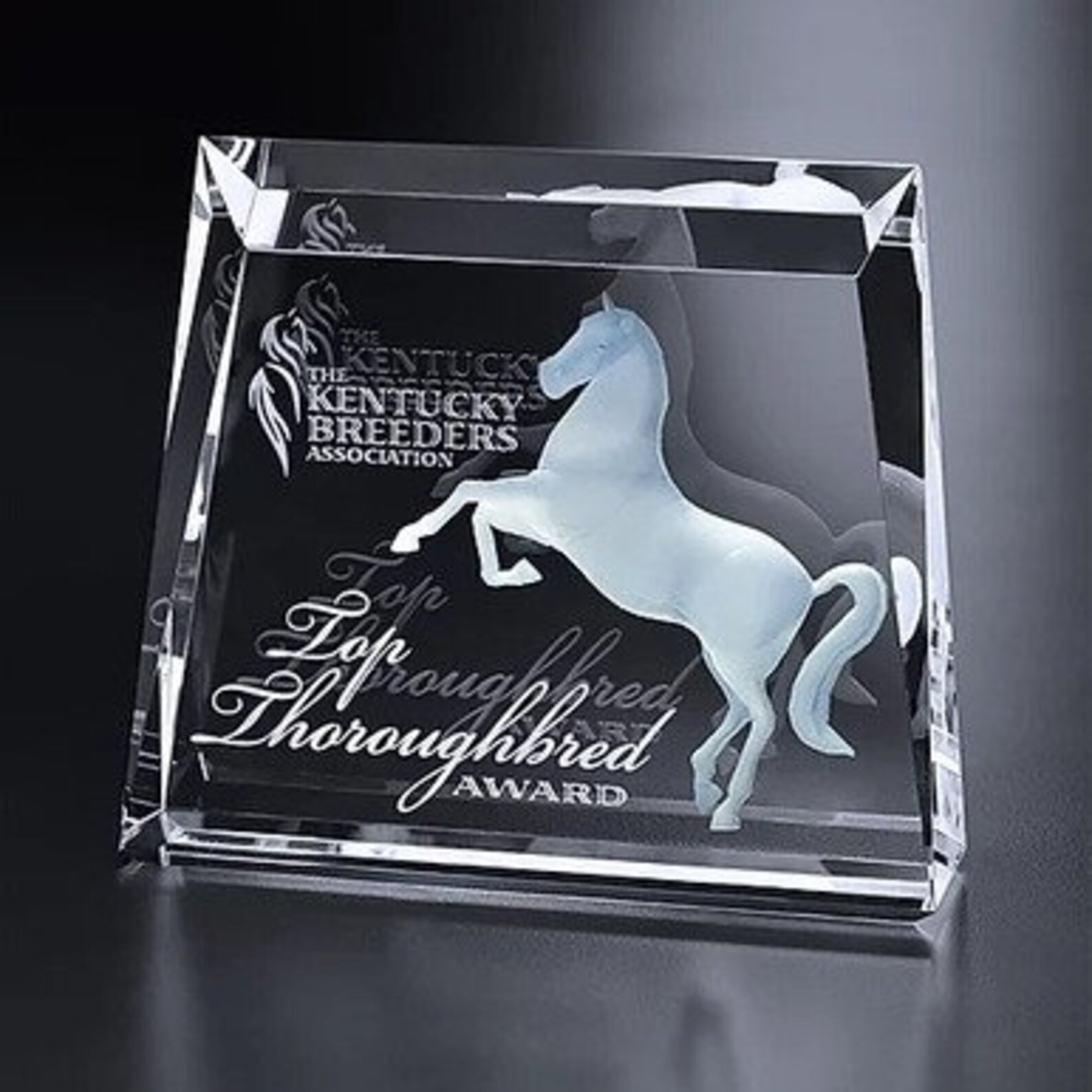 3D Crystal Newberry Award Custom Laser Etched & Engraved Etsy