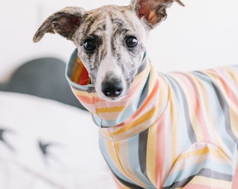 Custom made Whippet pajama | puppy pajama | custom made dog clothing | dog pajama | greyhound clothing | italian greyhound  | whippet