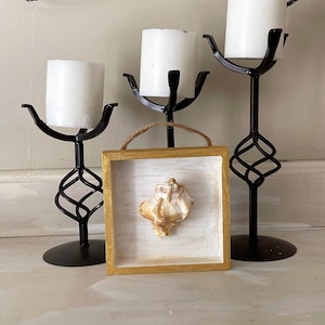 Seashell Art, Shadow Box Art, 3D Beach Themed Wall Art, Beach Themed Home Decor, Table Top Art, Coastal Decor, Conch Seashell Art