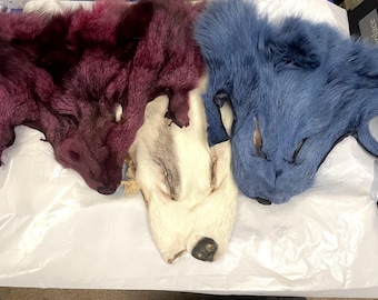 Real Fox Faces