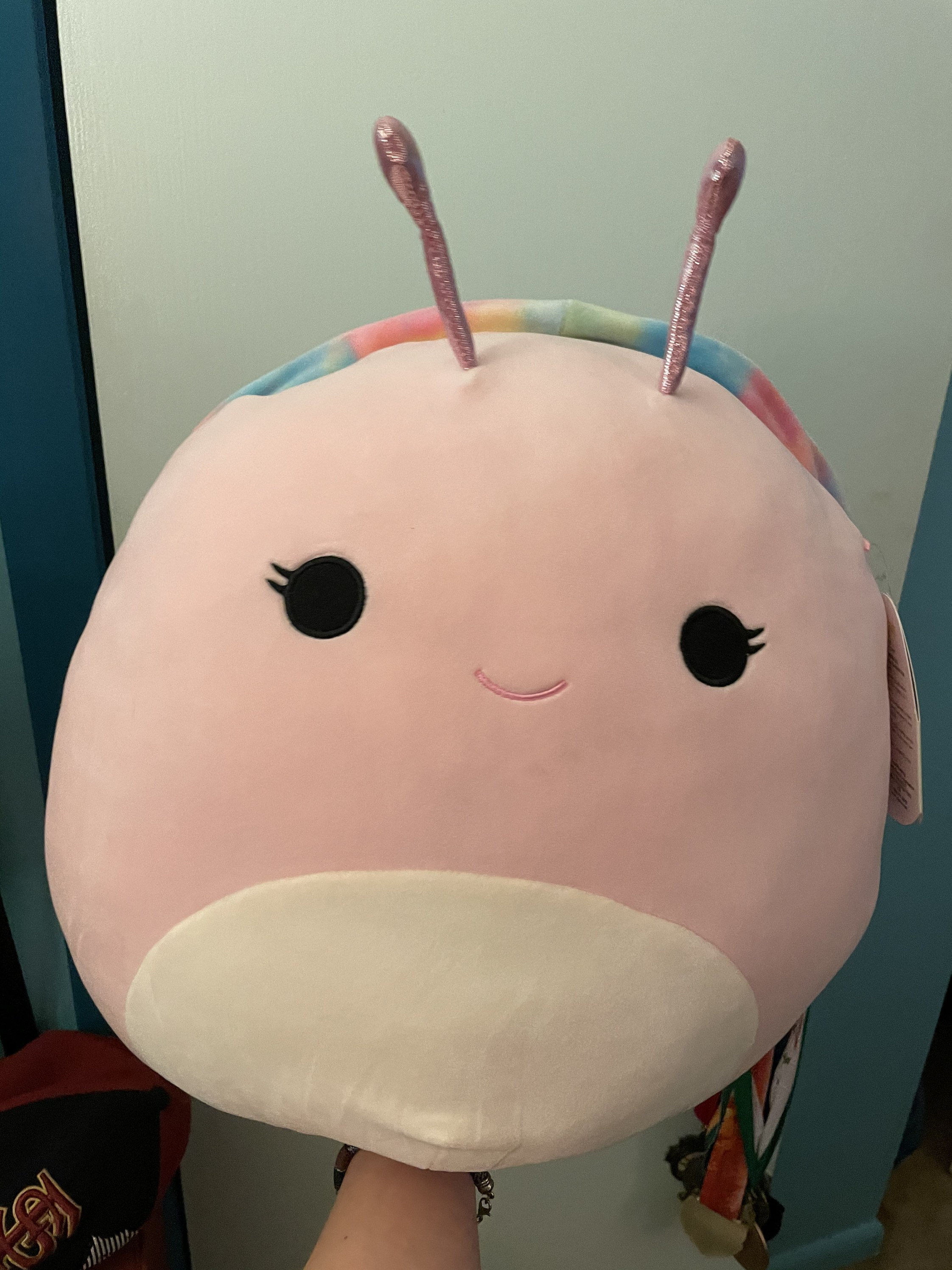 Squishmallow Silvina the Snail Jumbo 16in RARE NWT Etsy
