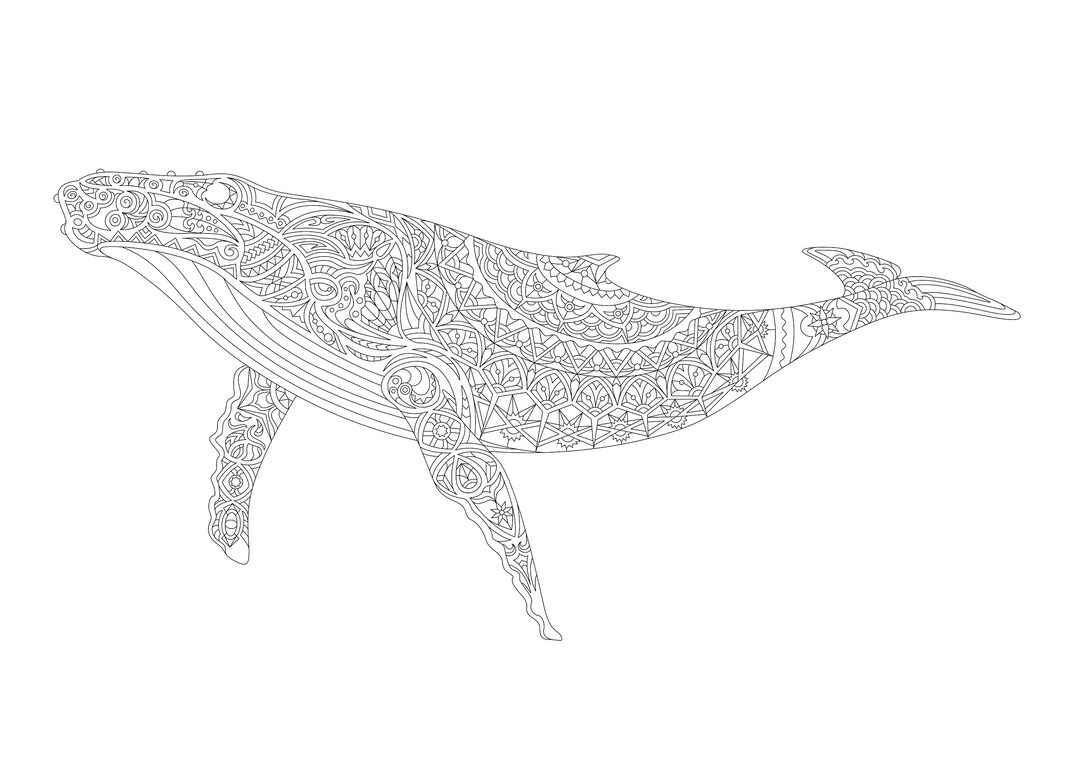Whale Adult Detailed Hard Coloring Page - Etsy