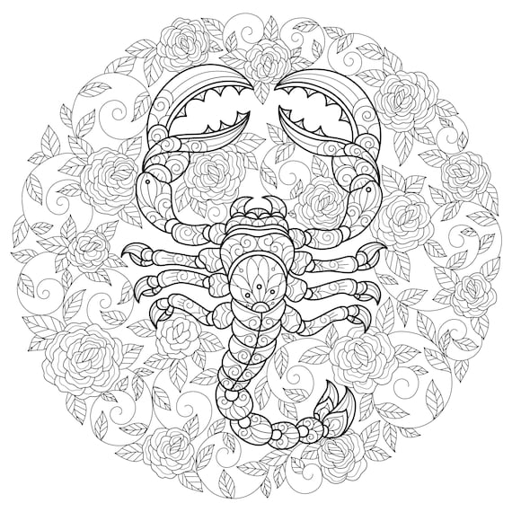 scorpio and roses digital printable coloring page medium etsy