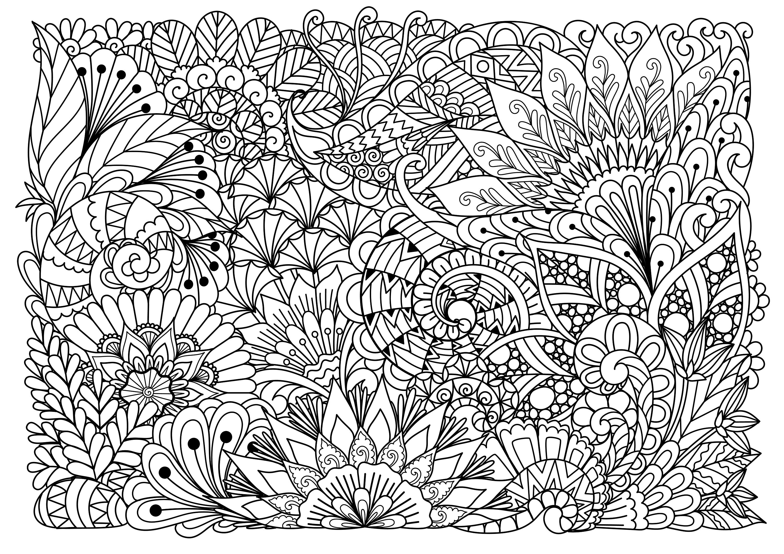 Adult Coloring Books: Mandalas: Coloring Books for Adults Featuring 50  Beautiful Mandala, Lace and Doodle Patterns by Hobby Habitat Coloring Books,  Paperback