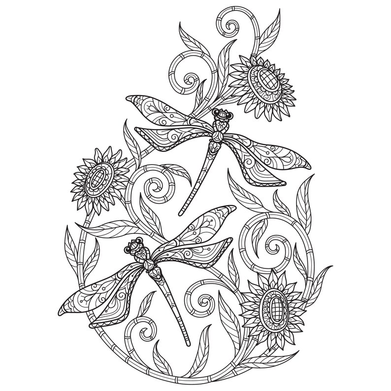 Digital Printable Beautiful Dragonfly Coloring Pages Medium Difficulty details 3 pages image 3