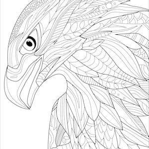 scorpio and roses digital printable coloring page medium etsy ireland