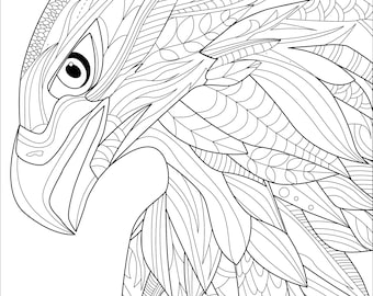 eagle head digital printable coloring page medium difficulty etsy