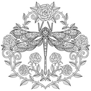 Digital Printable Beautiful Dragonfly Coloring Pages Medium Difficulty details 3 pages image 2