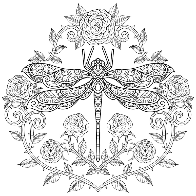 Digital Printable Beautiful Dragonfly Coloring Pages Medium Difficulty details 3 pages image 2