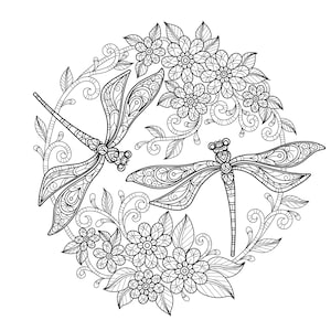 Digital Printable Beautiful Dragonfly Coloring Pages Medium Difficulty details 3 pages image 1