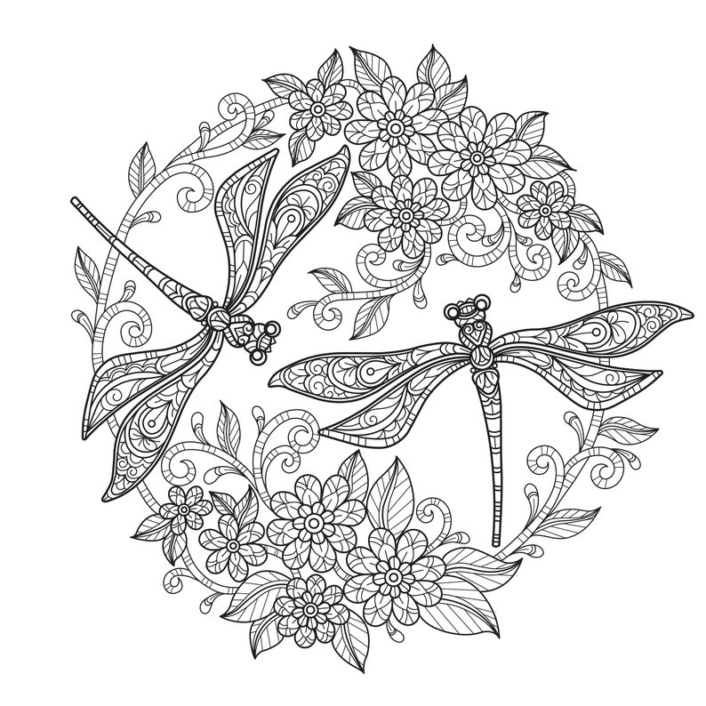Digital Printable Beautiful Dragonfly Coloring Pages Medium Difficulty details 3 pages image 1