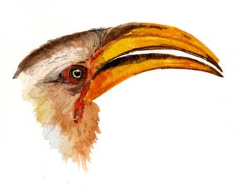 Yellow-billed Hornbill, wall art, downloadable, print at home, bird art, print, bird head, digital art