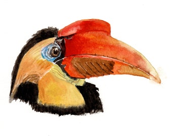 Wrinkled Hornbill, wall art, downloadable, print at home, bird art, print, bird head, digital art