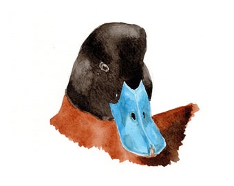 Lake Duck, wall art, downloadable, print at home, bird art, print, bird head, digital art