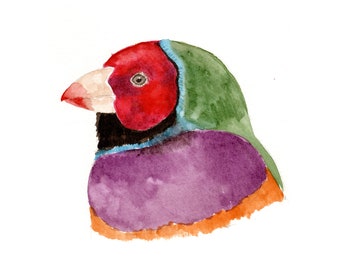 Gouldian Finch, wall art, downloadable, print at home, bird art, print, bird head, digital art