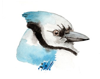 Blue Jay, wall art, downloadable, print at home, bird art, print, bird head, digital art