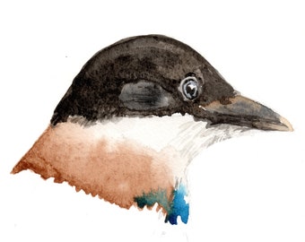 Azure-winged Magpie, wall art, downloadable, print at home, bird art, print, bird head, digital art