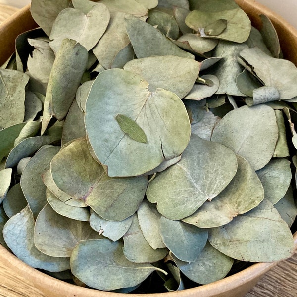 Eucalyptus leaves | leaf confetti | eucalyptus confetti | eucalyptus wedding  | aisle runner | table confetti | dried eucalyptus