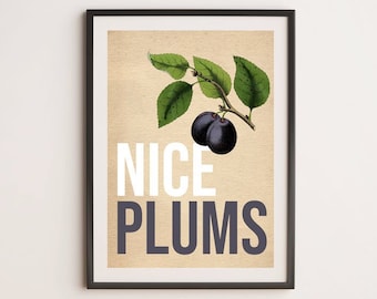 Nice Plums Vintage Illustration Wall Art Print