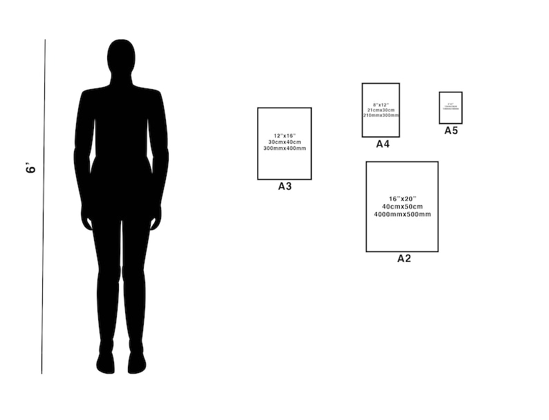 May include: A diagram showing the different sizes of paper, including A2, A3, A4, and A5. The sizes are shown in inches and centimeters. A person is standing next to the diagram for scale.