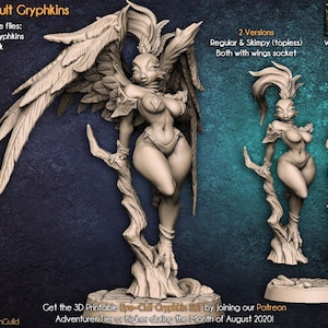Gryphinia - Artisan Guild - DnD Tabletop Games - Resin Miniature