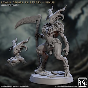 Kzara, Sacerdotessa Gobor - Gilda degli Artigiani - Giochi da Tavolo DnD - Miniature in Resina