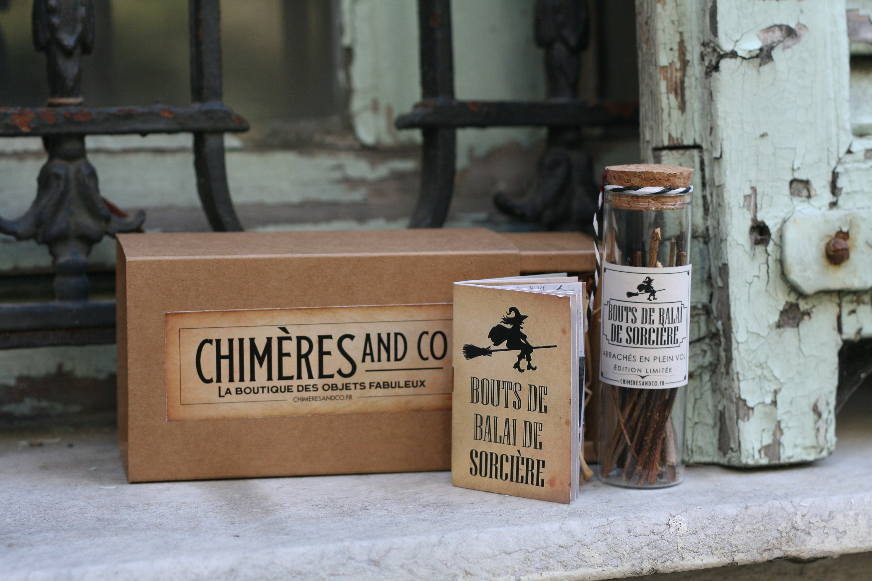 Bouts de Balai Sorcière