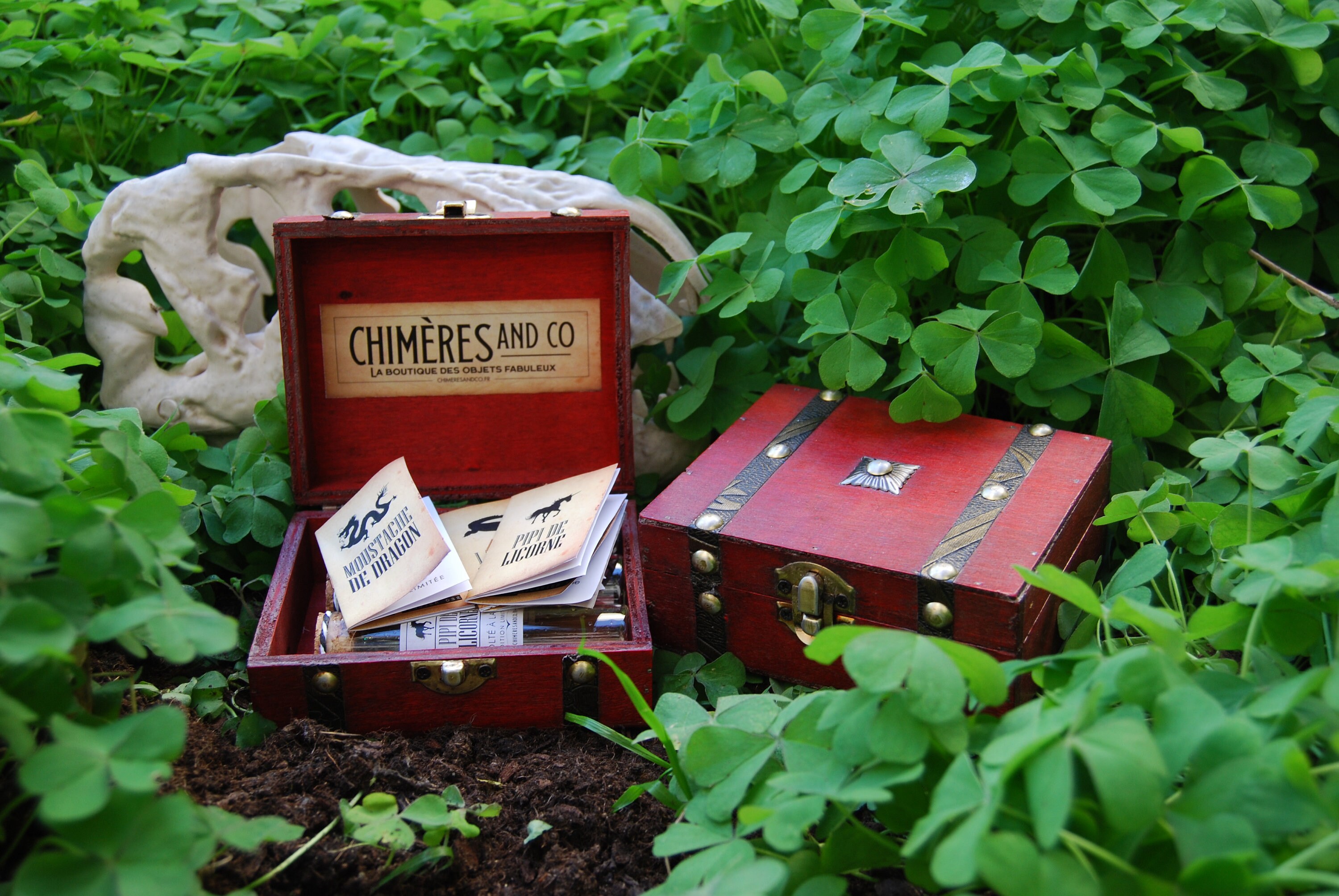 Coffret 3 Fioles Au Choix