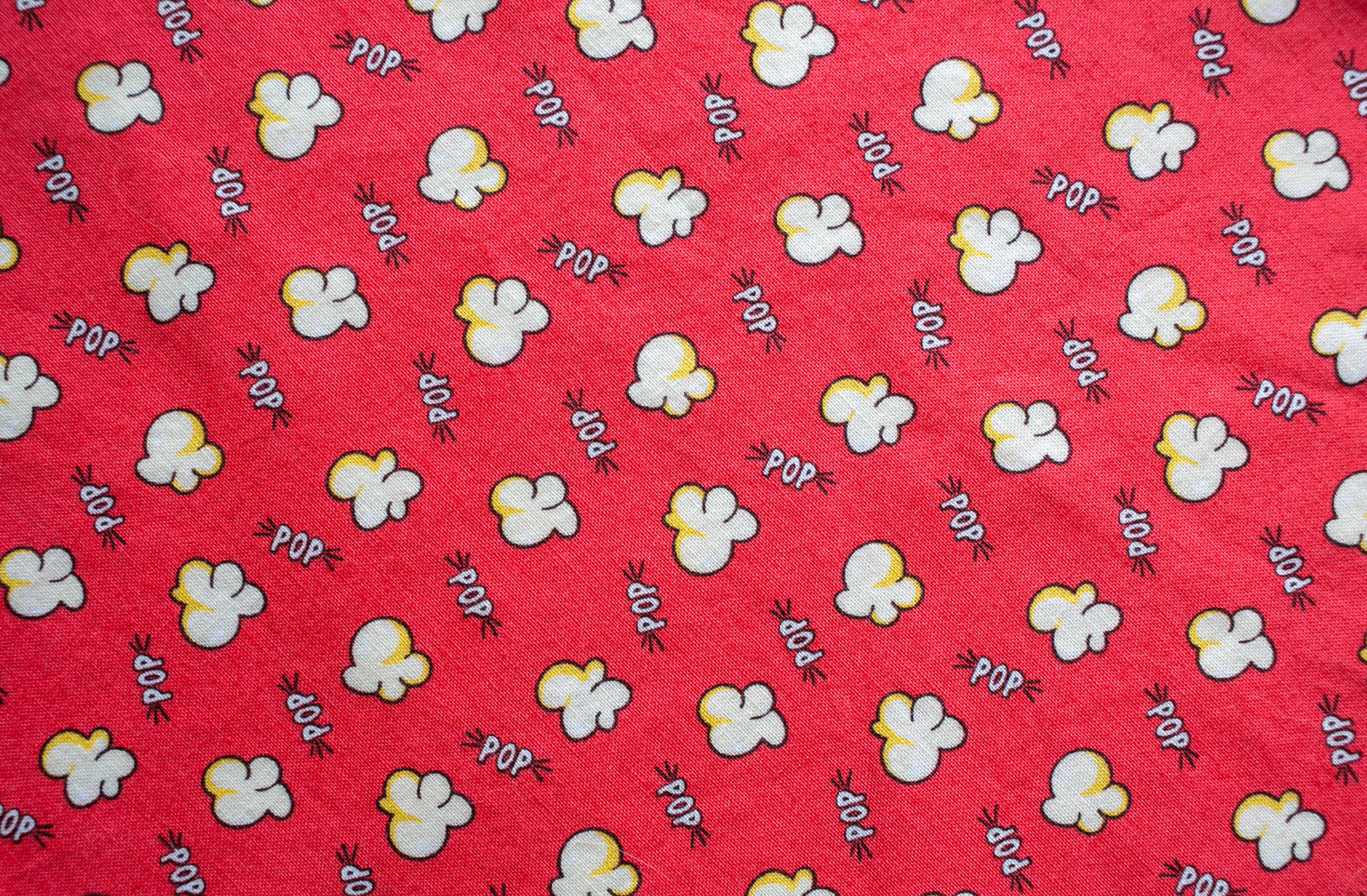 Aufgefüllt Film Abend Popcorn Hund Bandana Netflix &amp; chill Etsy