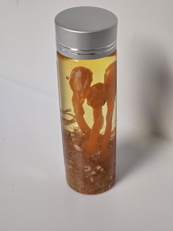 ラスト・オブ・アス 冬虫夏草 - Etsy 日本