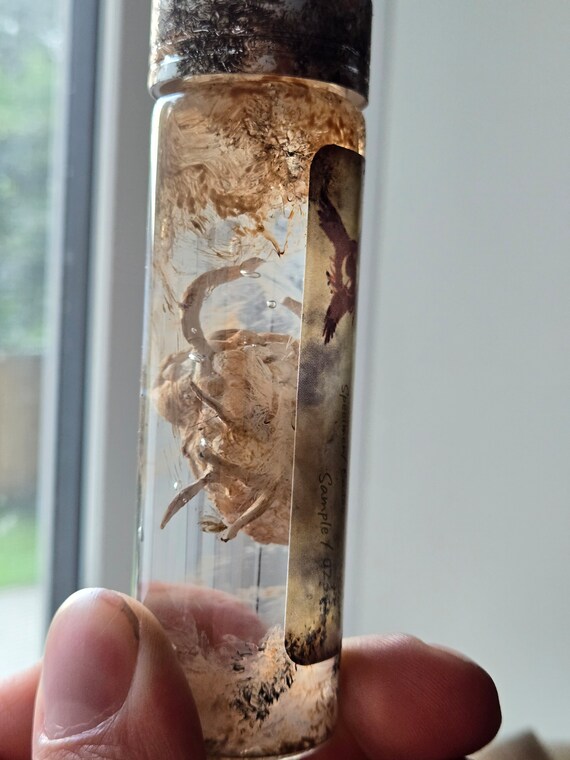 バイオハザード ヴィレッジ カドゥ - Etsy 日本