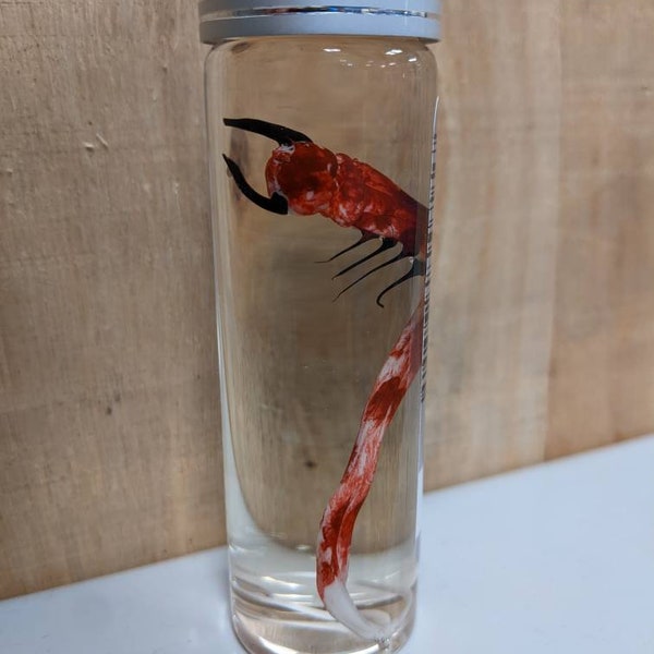 Back 4 Blood. Video Games Etsy