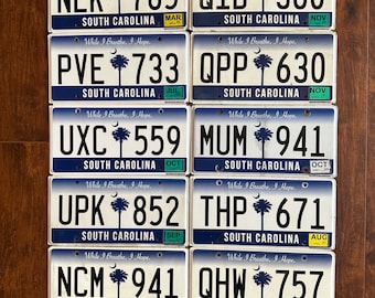 South Carolina License Plate, Pick your choice of License plate, South Carolina, South Carolina collector license Plate