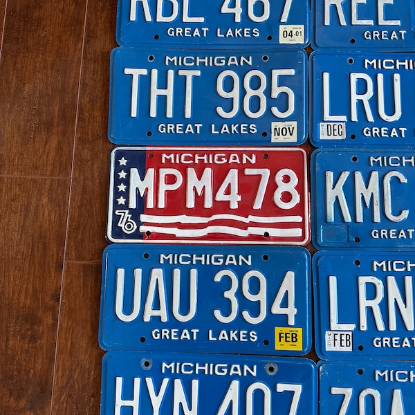 Michigan License Plate, Pick your choice of License plate, Vintage, Michigan collector license Plate