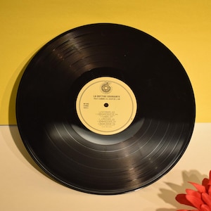Décoration murale personnalisée en vinyle peinte à la main | Peinture de disque personnalisée | Musique et décoration d&#39;intérieur uniques