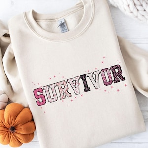 Breast Cancer Sweatshirt, Breast Cancer Survivor Hoodie, Warrior Pink Ribbon T-Shirt, Breast Cancer Awareness, Survivor Gift, I Wear Pink