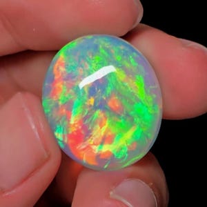 May include: A vibrant, oval-shaped opal gemstone. The stone displays a kaleidoscope of colors, including green, red, orange, and blue, with a bright, reflective surface. The opal is held between fingers against a black background.