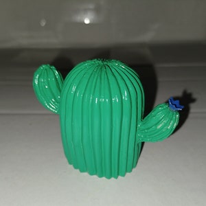 Miniature Cactus