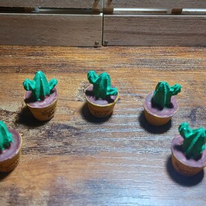 Tiny Cactus