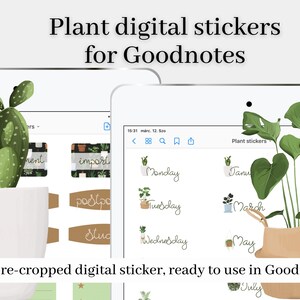 House plant digital stickers, digital planner stickers, potted plant stickers, plant lover digital stickers, Goodnotes stickers, plant lady