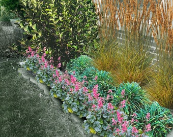 Full Sun Prairie Garden Planting Plan: DIY Landscape Design (PDF)