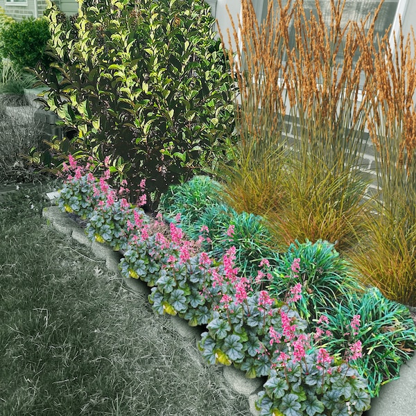Small Easy Landscape Design, Easy Low Maintenance Garden Planting Plan, Boost Your Curb Appeal, DIY Foundation Landscape Garden