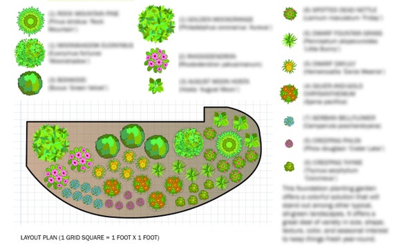 Tree Planting Plan Template