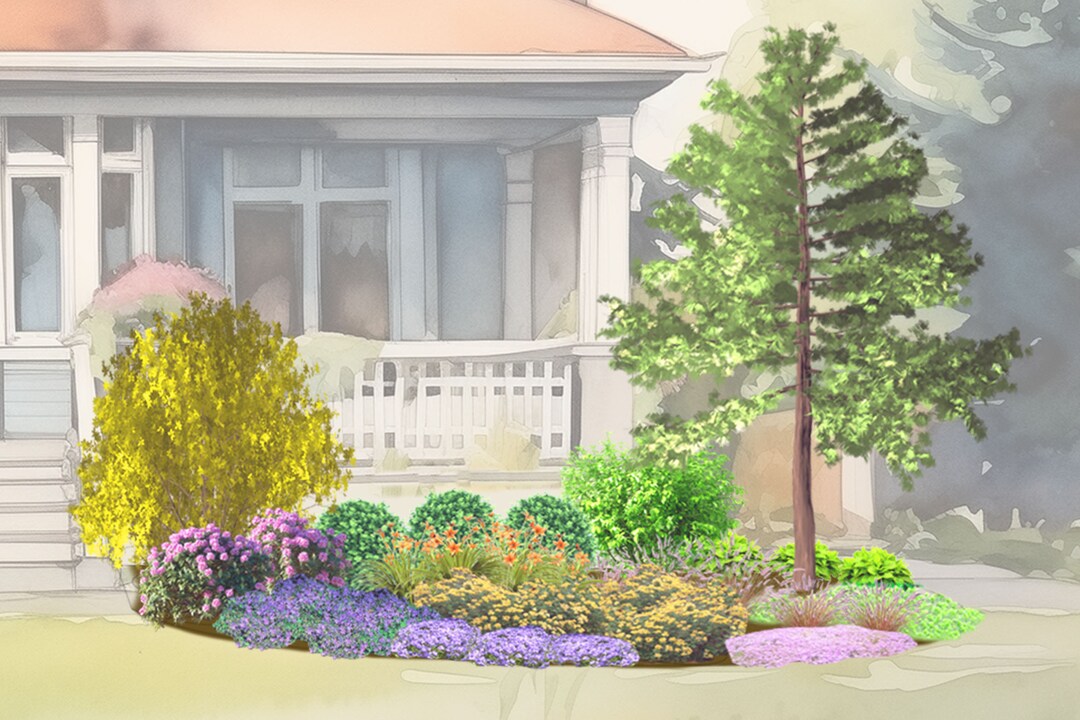 Front Yard Landscaping Ideas Plan | DIY Garden Design Layout PDF - Etsy
