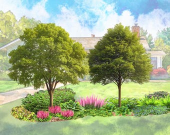 Perennial Shade Garden Planting Plan: Landscape Design Template (PDF Download)