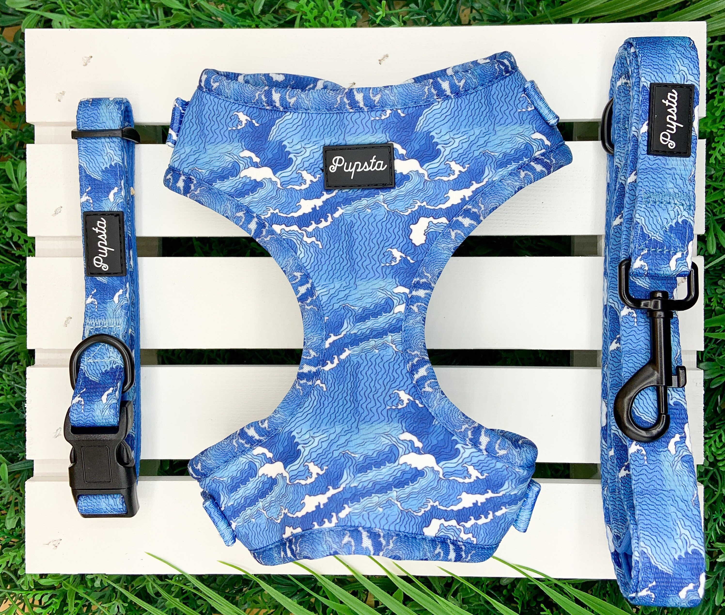 Funky top dog harness