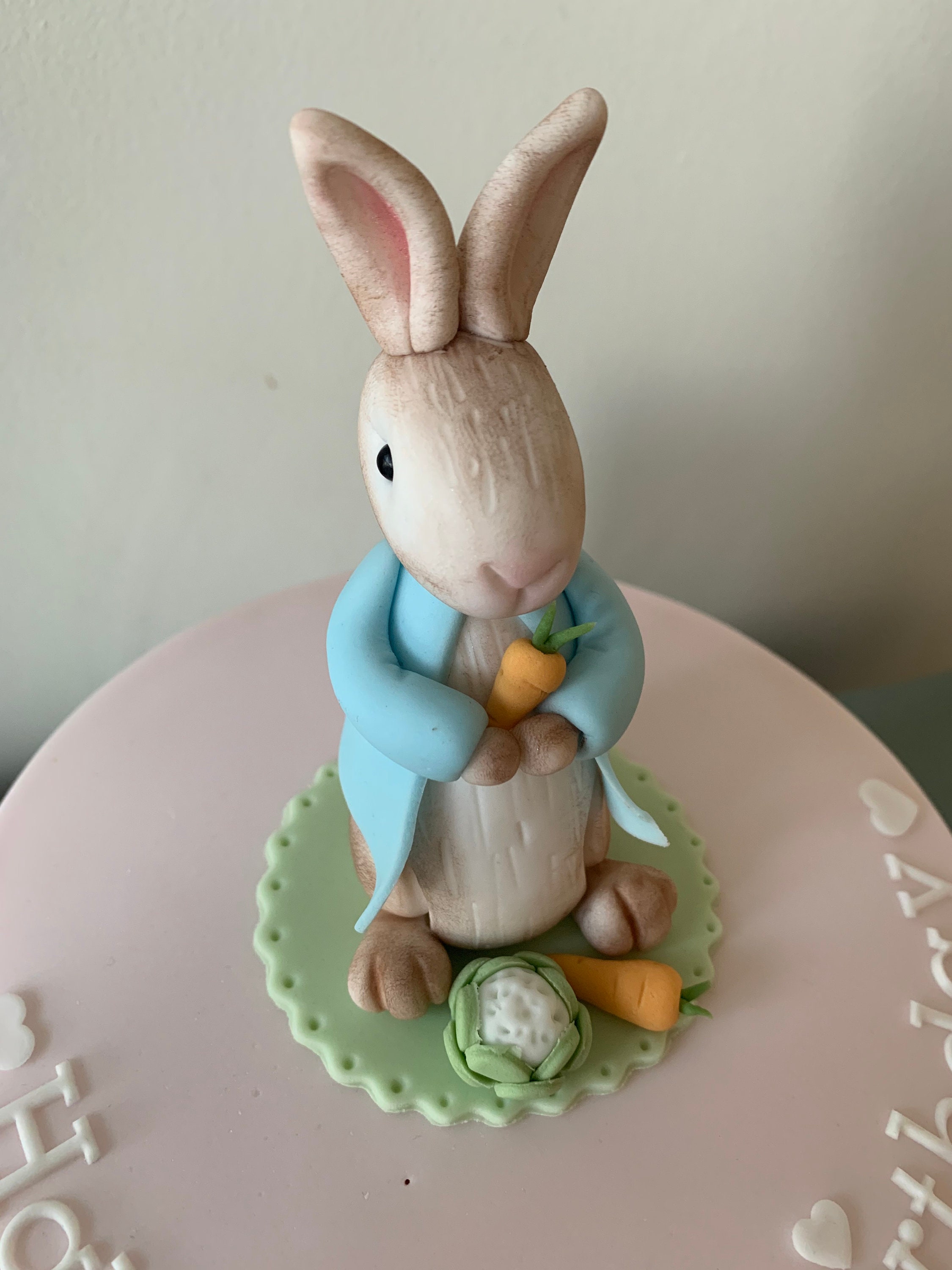 Edible Fondant unofficial Peter Rabbit Cake Topper Etsy
